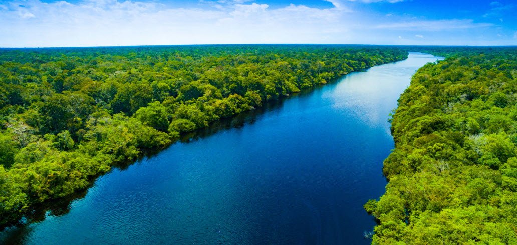 Amazon Rainforest, Northern Brazil (e.g., Amazonas), Brazil